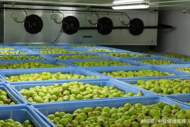 果蔬恒温库项目可行性研究报告(图1)