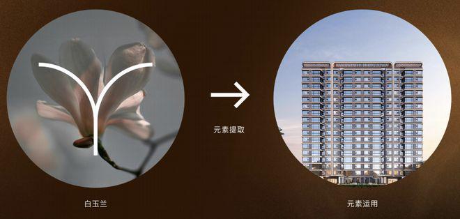 「南山璞缦」全球设计大师齐聚匠造嘉定首个恒温泳池会所大宅(图9)