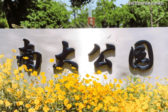 ®保利海上瑧悦：海上瑧悦登场保利以匠心重塑滨海生活想象(图13)
