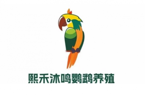 陕西熙禾沐鸣鹦鹉养殖基地：合规化发展开创鹦鹉养殖行业新机遇(图1)