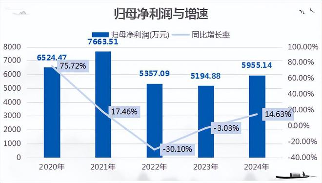 鼎佳精密IPO过会：专注消费电子防护件的国家级专精特新小巨人(图4)