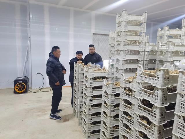 姜香飘出“科技范”！连江村“小黄姜+科技”点燃乡村振兴新引擎(图3)