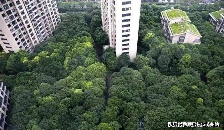 中鹰黑森林(中鹰黑森林)-2025年首页网站-楼盘详情价格户型(图7)