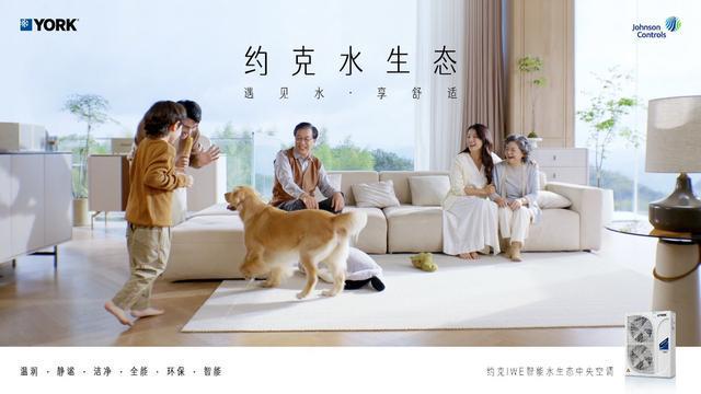米乐M6平台：约克空调：以创新营销为翼翱翔行业升级蓝天(图1)