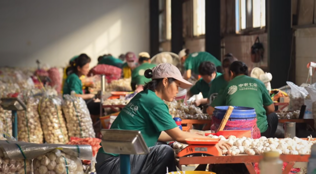 米乐M6网页版：中农七朵：农业数字化转型先锋智能仓储引领产业升级(图1)