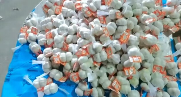 米乐M6网页版：中农七朵：农业数字化转型先锋智能仓储引领产业升级(图2)