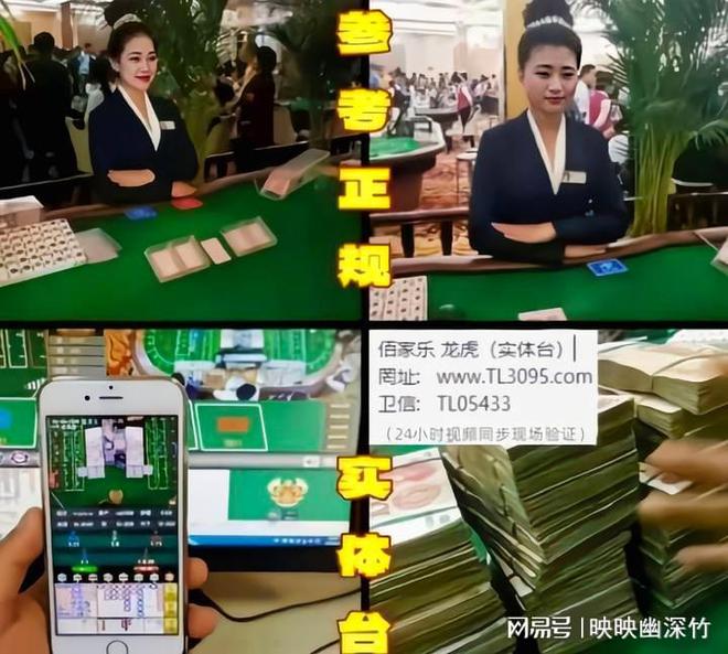 内幕揭秘：网上AG台点杀事件调查结果令人震惊!数据iP操控(图2)