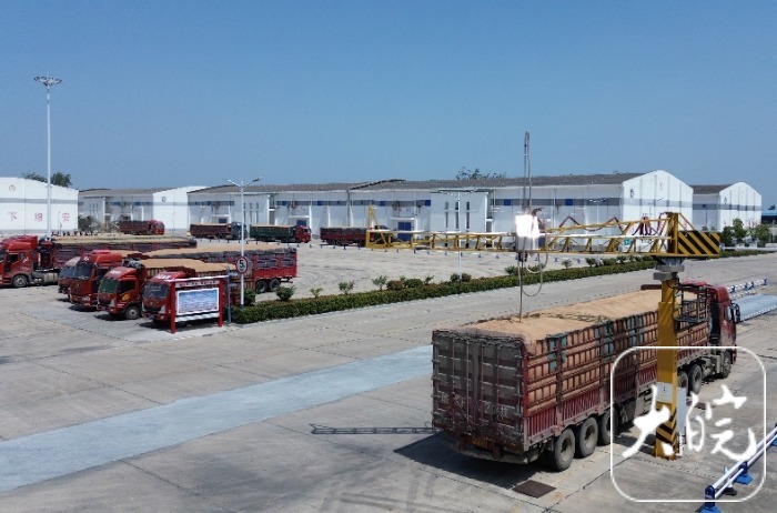 安徽阜南：粮食收储更智能小麦入仓“不落地”（组图）(图2)