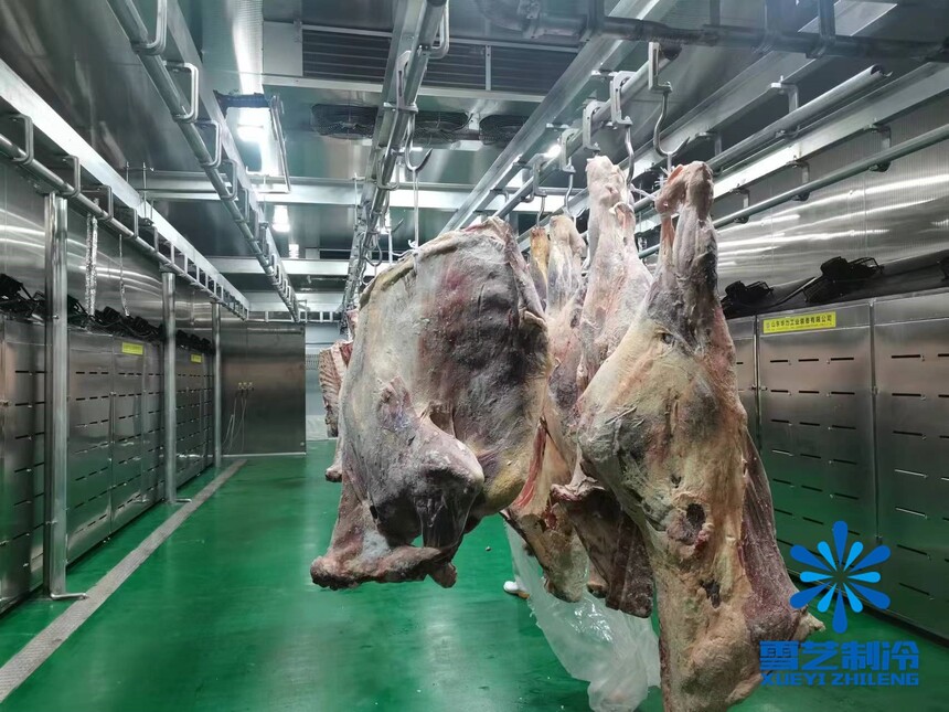 米乐M6：冷库和保鲜冷库有什么区别？(图2)