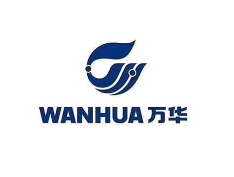 米乐M6网页版：板材十大品牌最新排行榜（2025年）(图5)