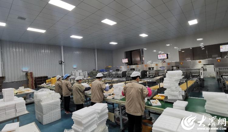 数智羽翼赋能未来农业：牧族科技重塑300万羽蛋鸡产业新纪元(图3)