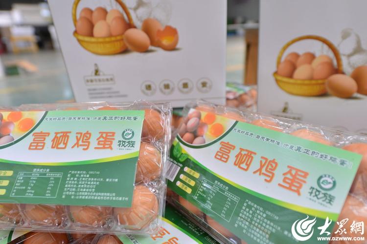 数智羽翼赋能未来农业：牧族科技重塑300万羽蛋鸡产业新纪元(图5)