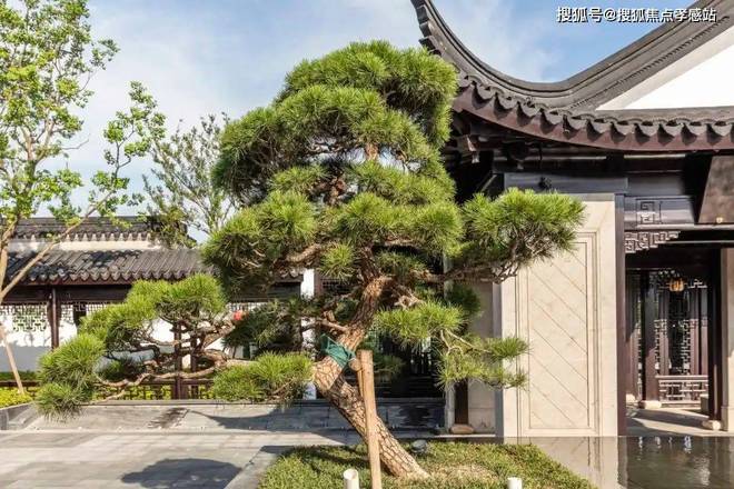 朱家角·璟云里售楼处发布：一席云里启幕古镇当代雅集(图10)