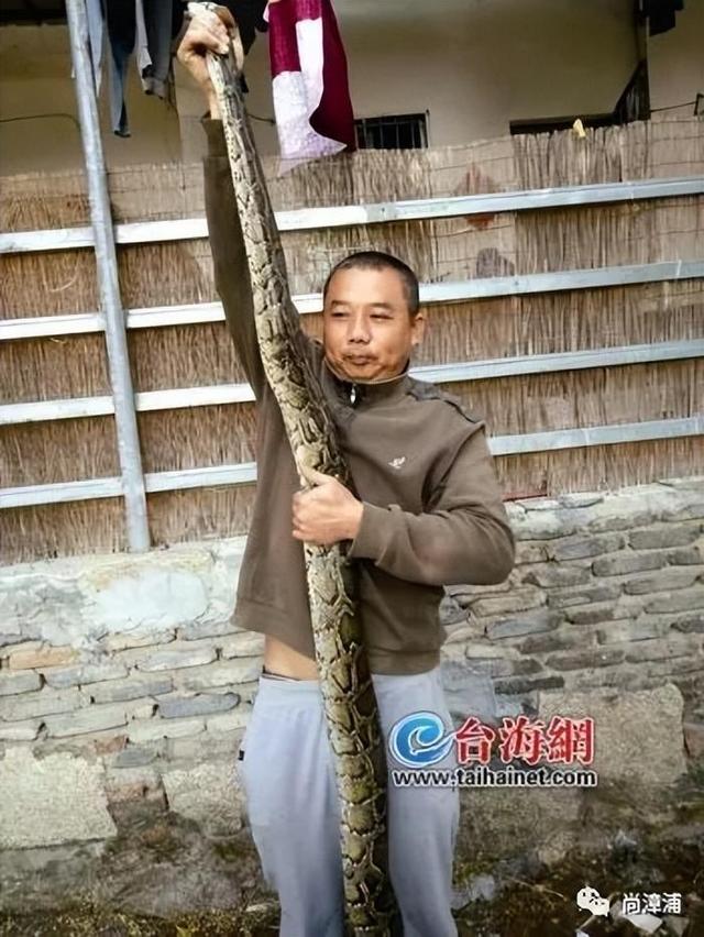 米乐M6平台：三亚女游客被咬后曾咨询鉴蛇博主“啊宝”本人回应(图3)