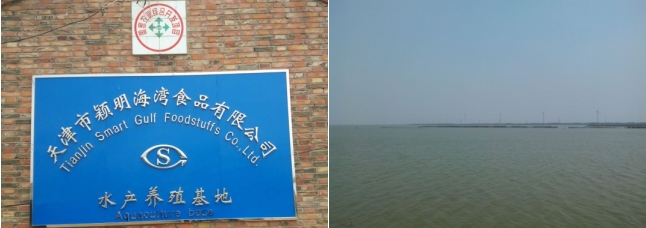 米乐M6网页版：颖明海湾食品：坚守食品安全底线共赴行业新征程(图1)