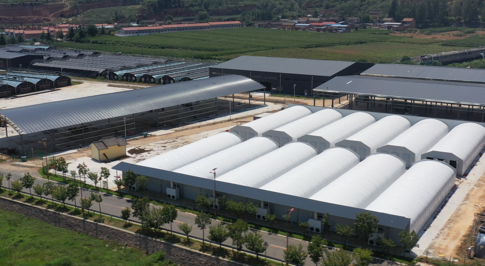 山西垣曲双孢菇“住”进智能培育房科技助力菌业提质增效(图1)