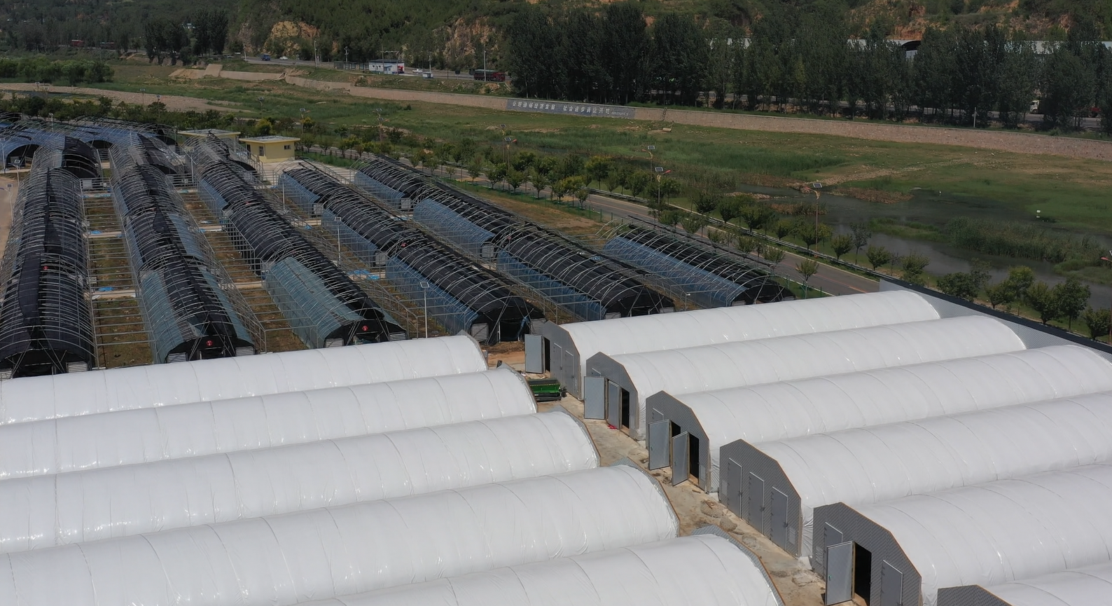 山西垣曲双孢菇“住”进智能培育房科技助力菌业提质增效(图2)