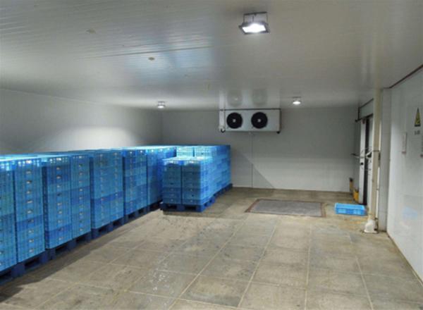 广东恒温冷库品牌竞争力分析报告(图1)