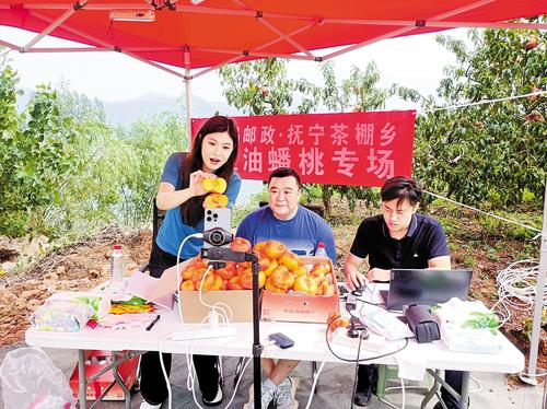 多元农业产业体系助力乡村全面振兴(图2)