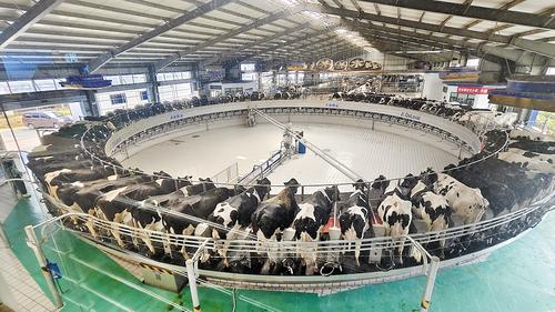 多元农业产业体系助力乡村全面振兴(图1)