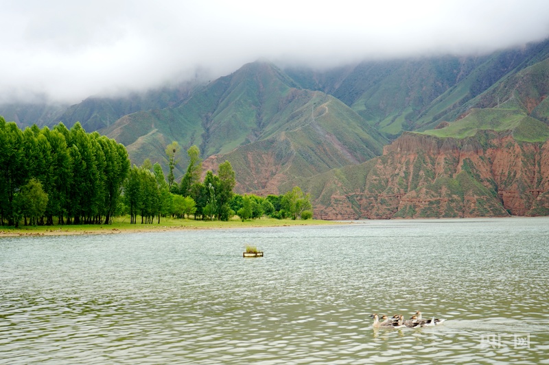 高质量发展看中国活水“养”出新活力来自青藏高原的海鲜即将上桌(图5)