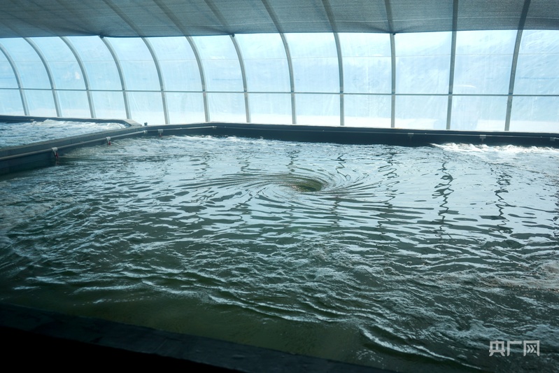 高质量发展看中国活水“养”出新活力来自青藏高原的海鲜即将上桌(图3)