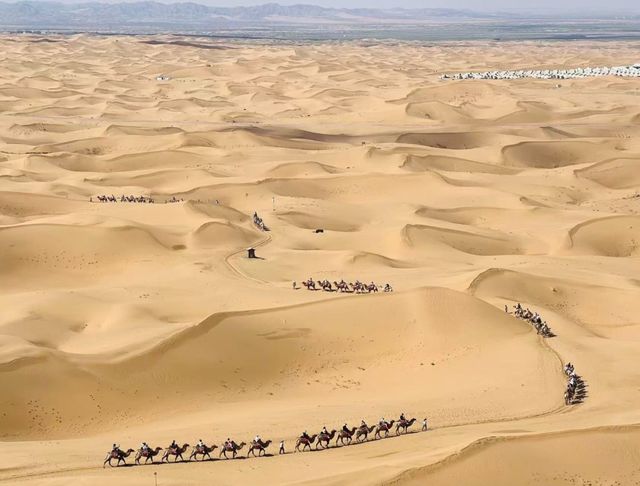 文旅融合亮出“新宁夏”多元业态激活大市场(图1)