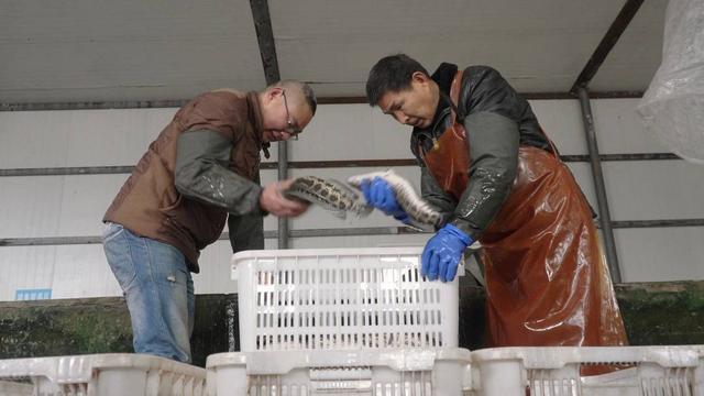 西南地区规模第一铜梁乌鱼养殖产业是如何“炼”成的？(图3)