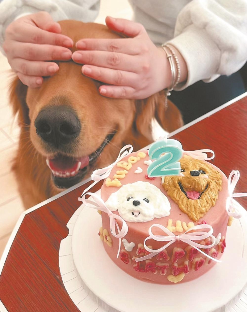 家有“毛孩儿”(图1)