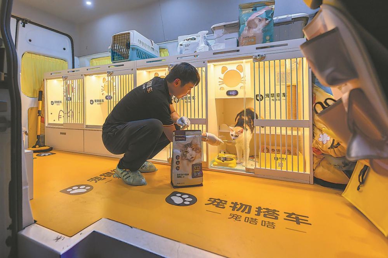 家有“毛孩儿”(图2)