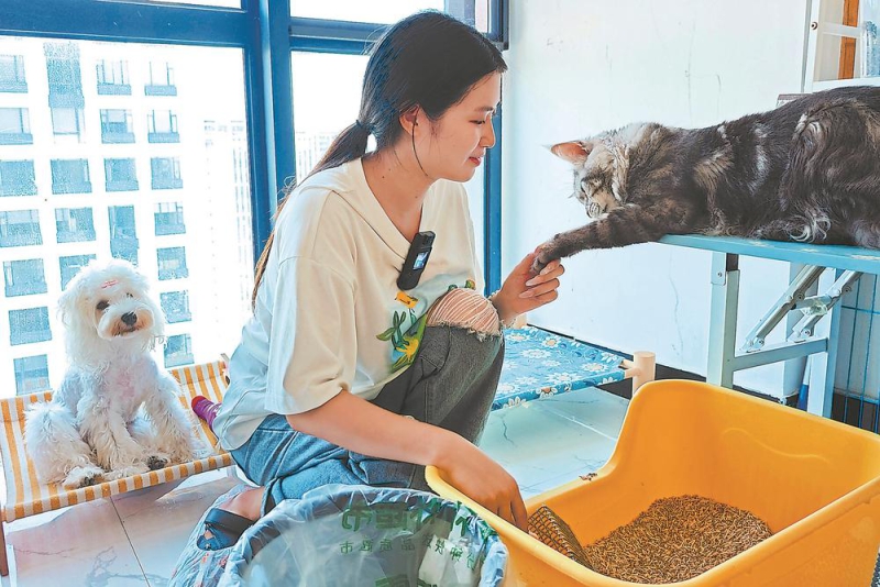 家有“毛孩儿”(图5)