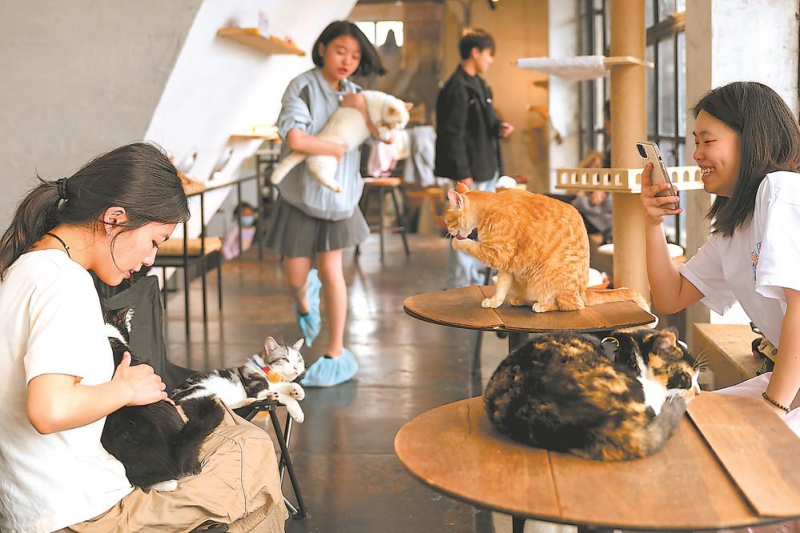 家有“毛孩儿”(图7)