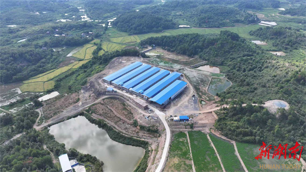 冷水滩:蛋鸡住进“智能别墅”(图4)