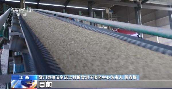 万亩凤堰古梯田迎丰收秋日丰收美景已上线！(图13)