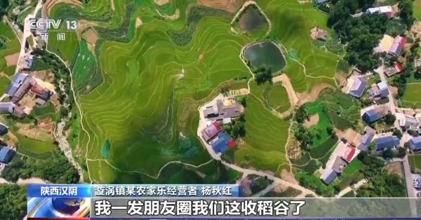 万亩凤堰古梯田迎丰收秋日丰收美景已上线！(图5)