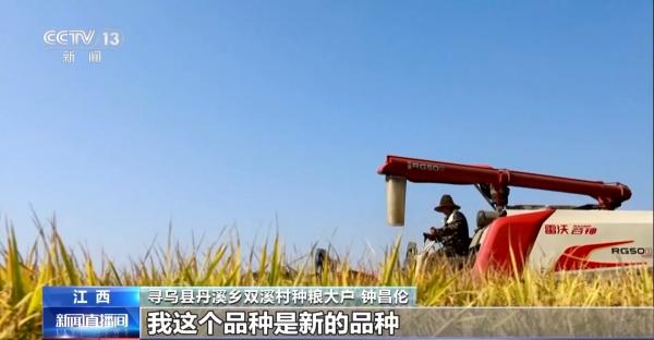 万亩凤堰古梯田迎丰收秋日丰收美景已上线！(图10)