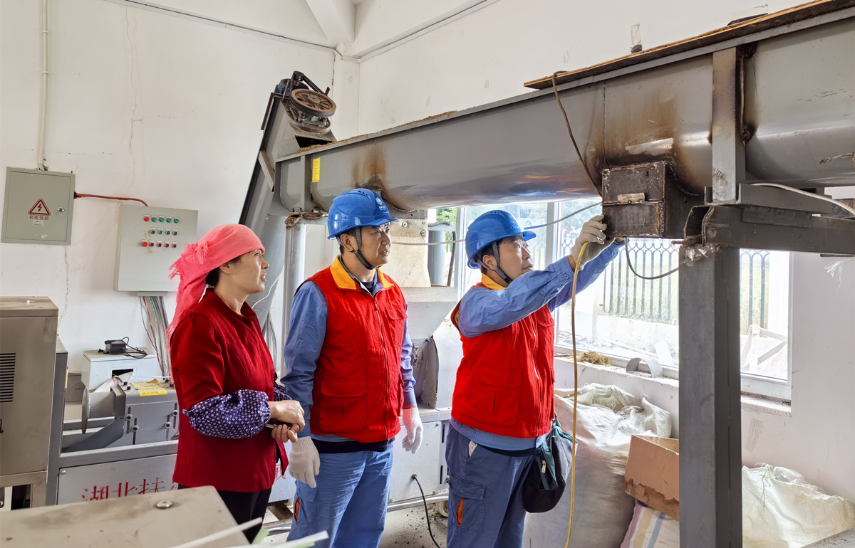青海民和：恒温守护菌菇产业“鲜”力十足(图2)