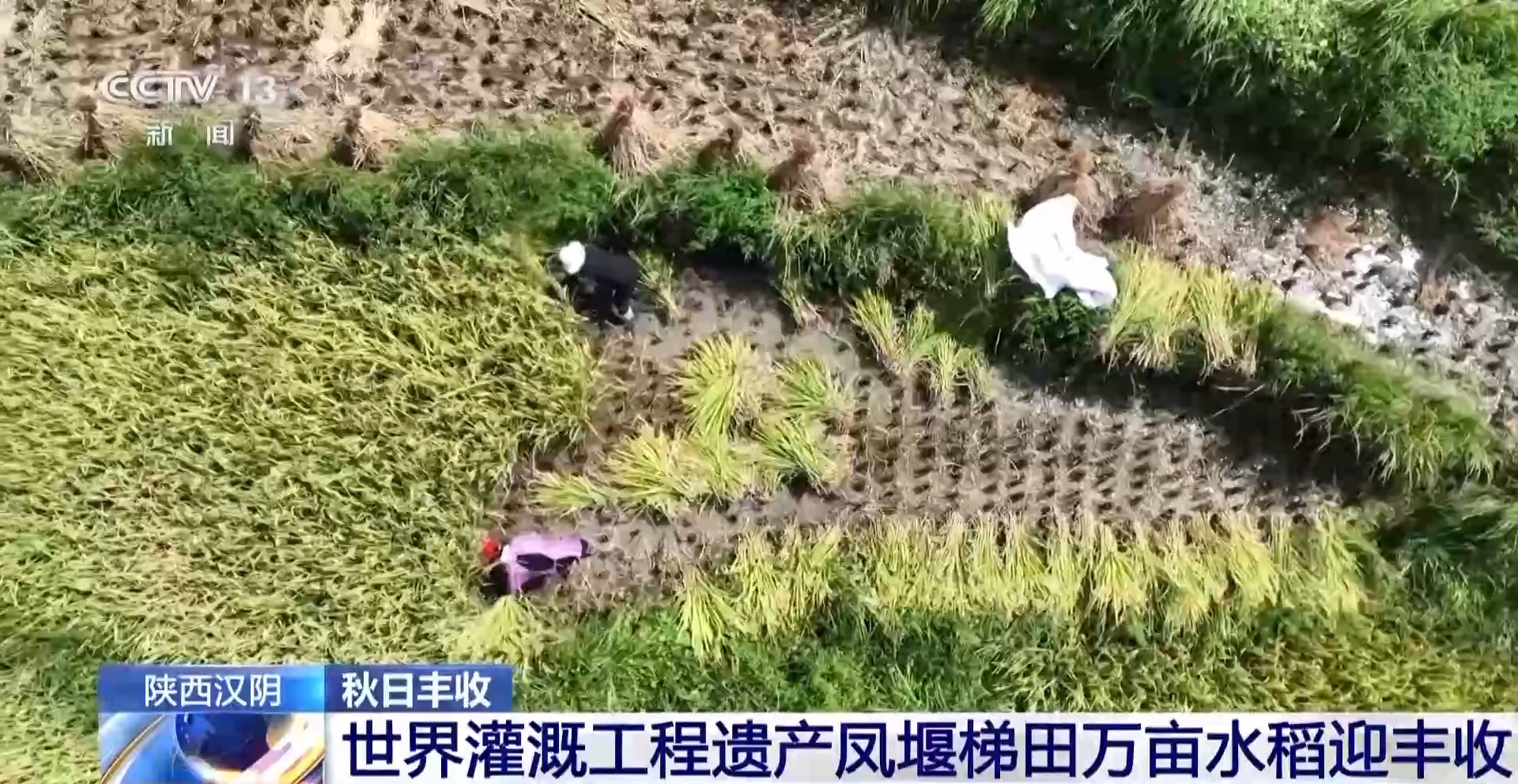 光耀太行·红土巨变灵丘：从“红色热土”到“算力高地”(图3)