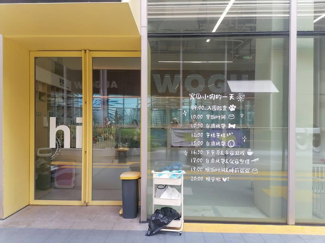 米乐M6平台：当人类幼儿园园长转行当起了宠物幼儿园园长……(图1)