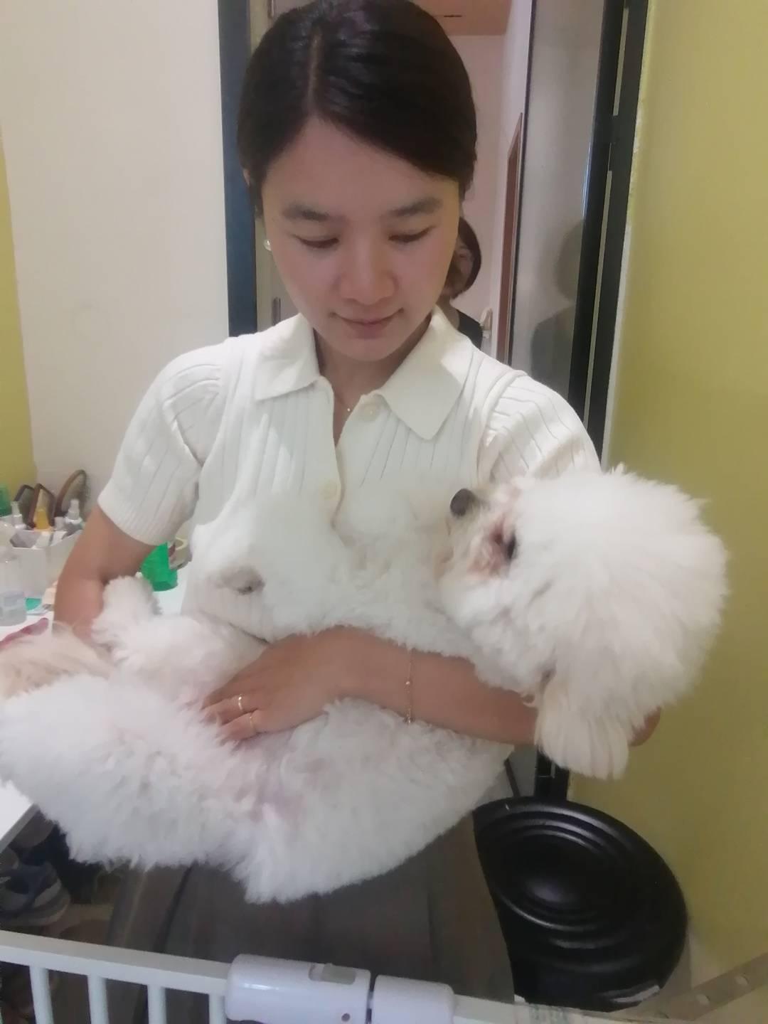 米乐M6平台：当人类幼儿园园长转行当起了宠物幼儿园园长……(图2)