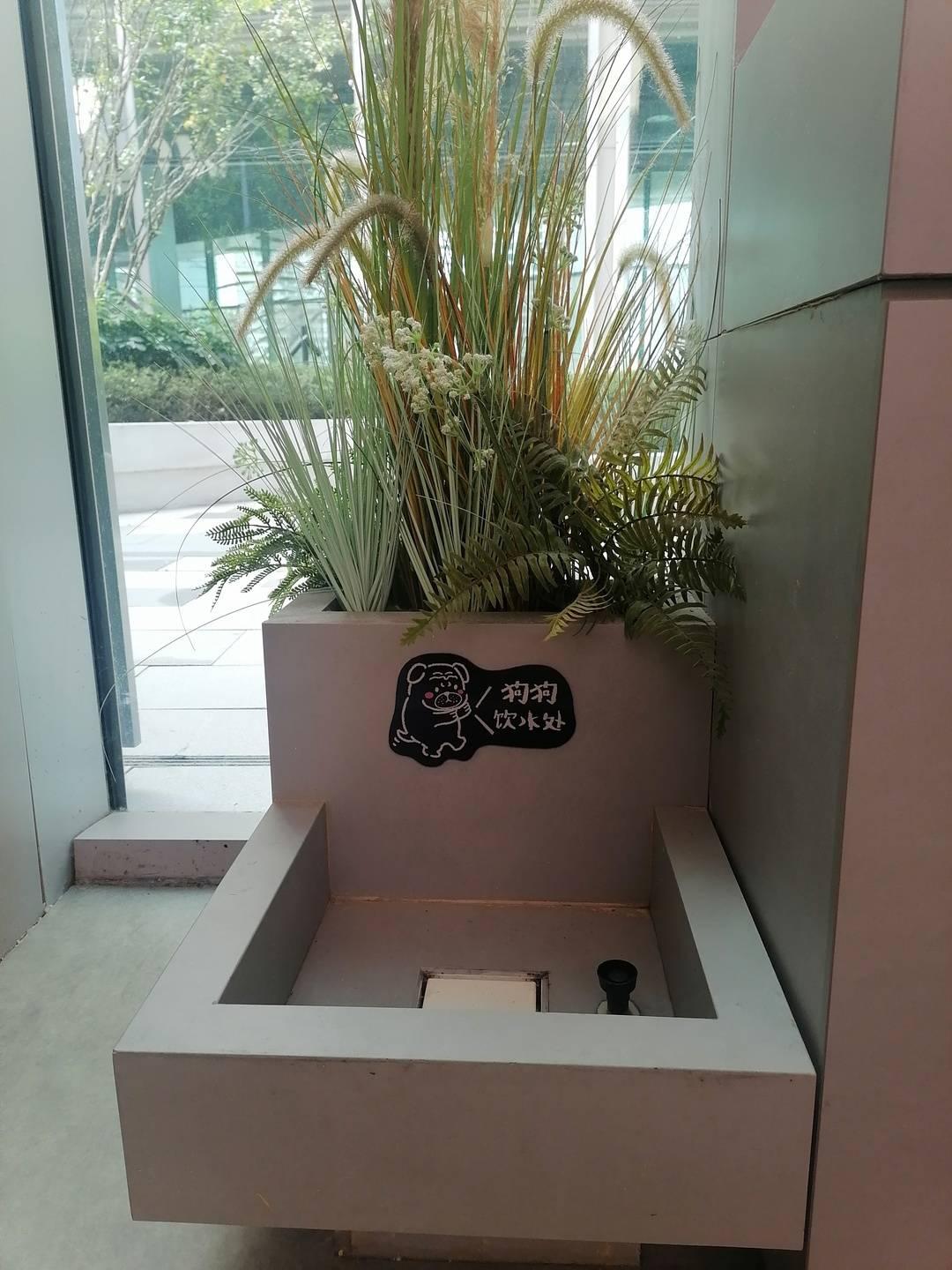 米乐M6平台：当人类幼儿园园长转行当起了宠物幼儿园园长……(图5)