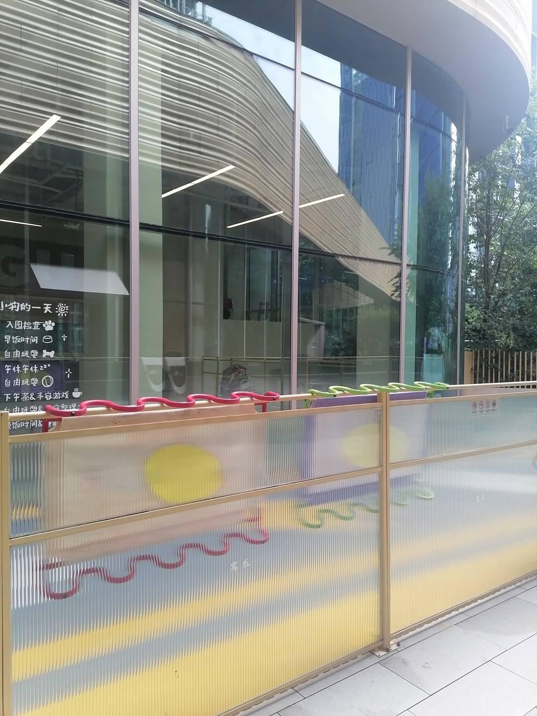 米乐M6平台：当人类幼儿园园长转行当起了宠物幼儿园园长……(图8)