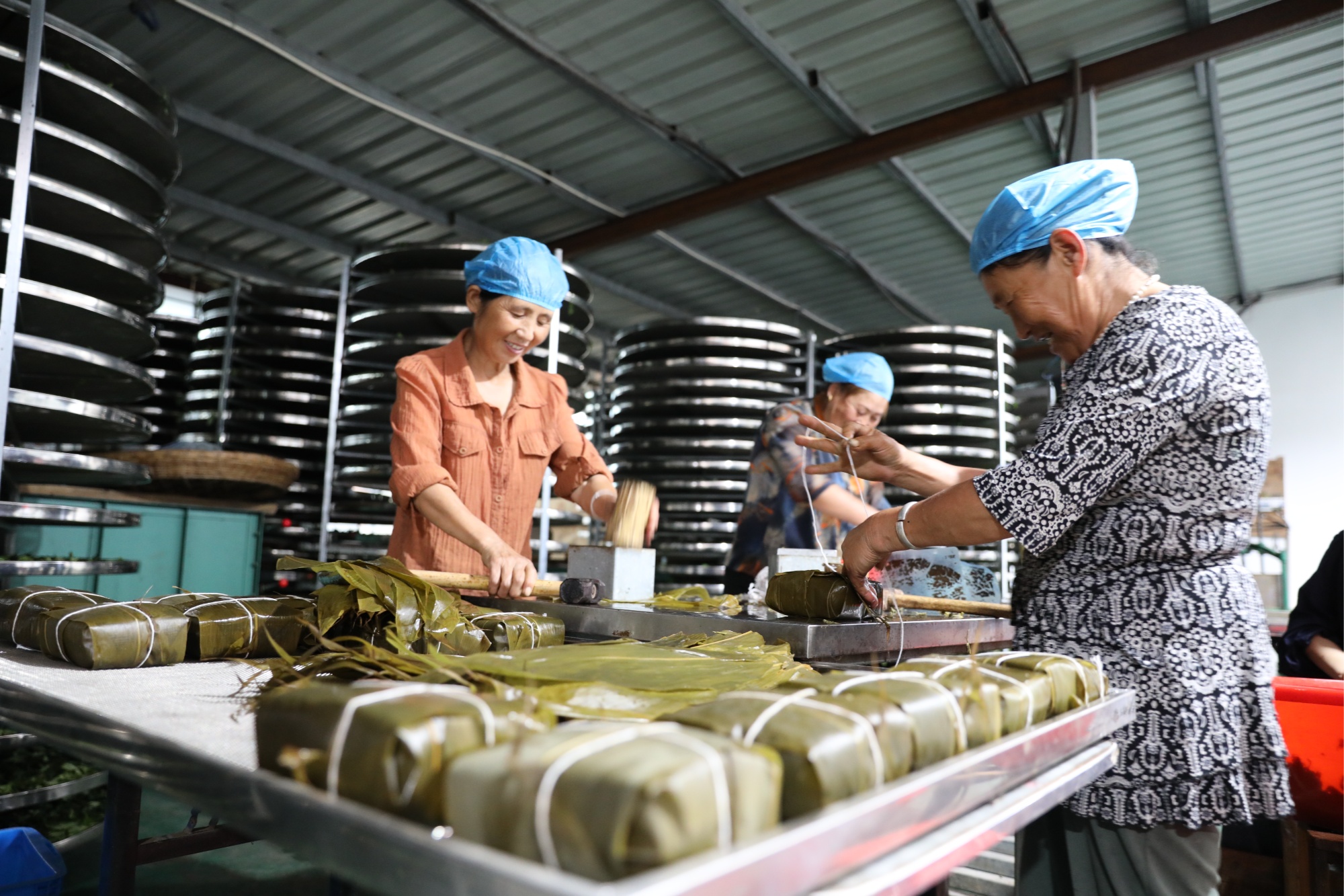 沃野绘“丰”景三农启新程——霍山县“三农”工作发展掠影(图3)