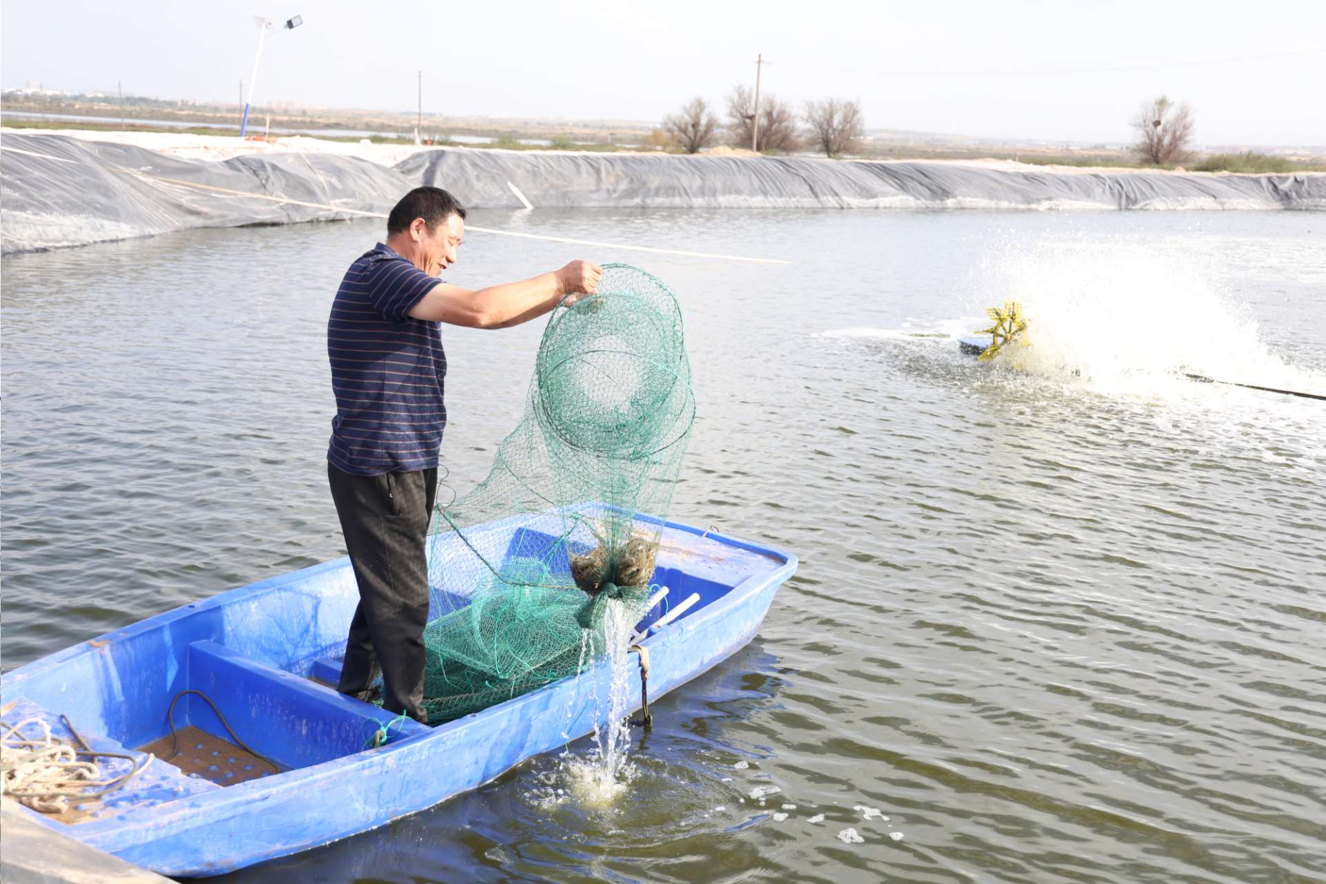 扬州与定边协作让陕北盐碱地蝶变“海鲜聚宝盆”(图1)