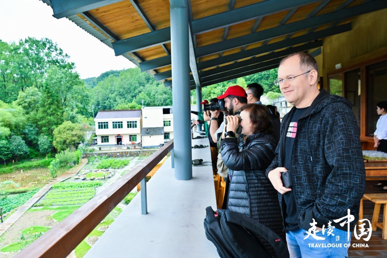 秦巴山居新图鉴:从智能蚕室到朱鹮小村的乡村振兴实践(图4)