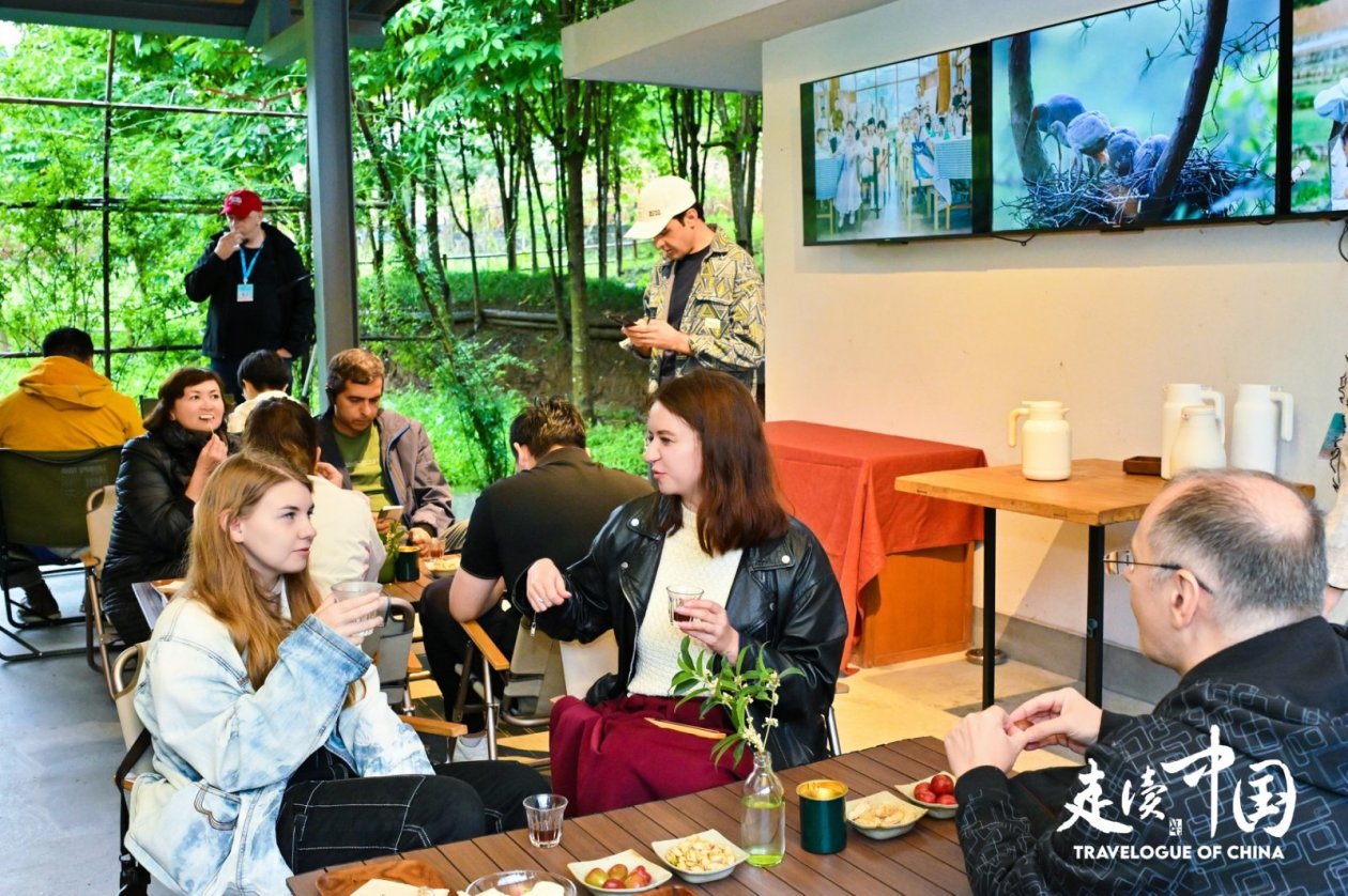 秦巴山居新图鉴:从智能蚕室到朱鹮小村的乡村振兴实践(图5)