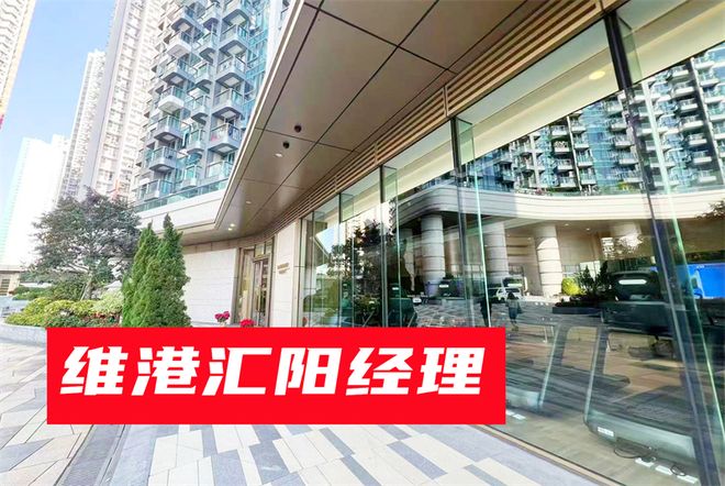 一文读懂维港汇具体户型有哪些？介绍一下维港汇的周边配套设施(图1)