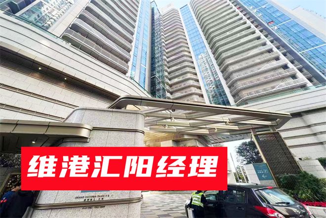 一文读懂维港汇具体户型有哪些？介绍一下维港汇的周边配套设施(图2)