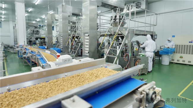 央探厂弗列加特揭秘高品质猫粮背后的故事(图6)