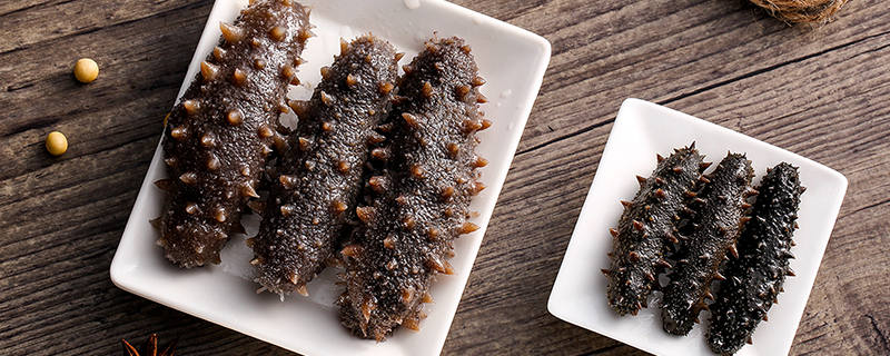 干海参怎么保存干海参如何保存(图1)